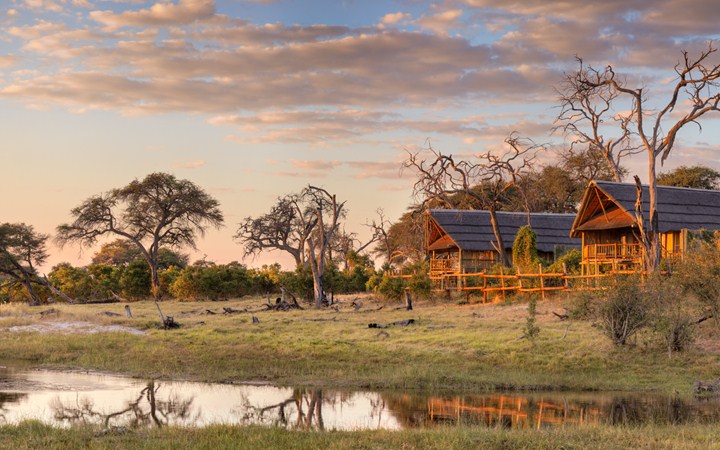 Orient Express Safaris