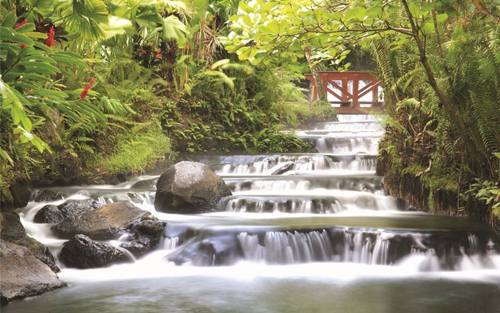 Tabacon Grand Spa Thermal Resort 