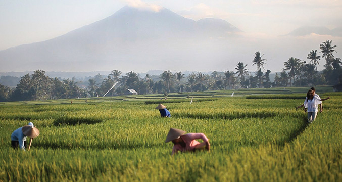 Soori Bali